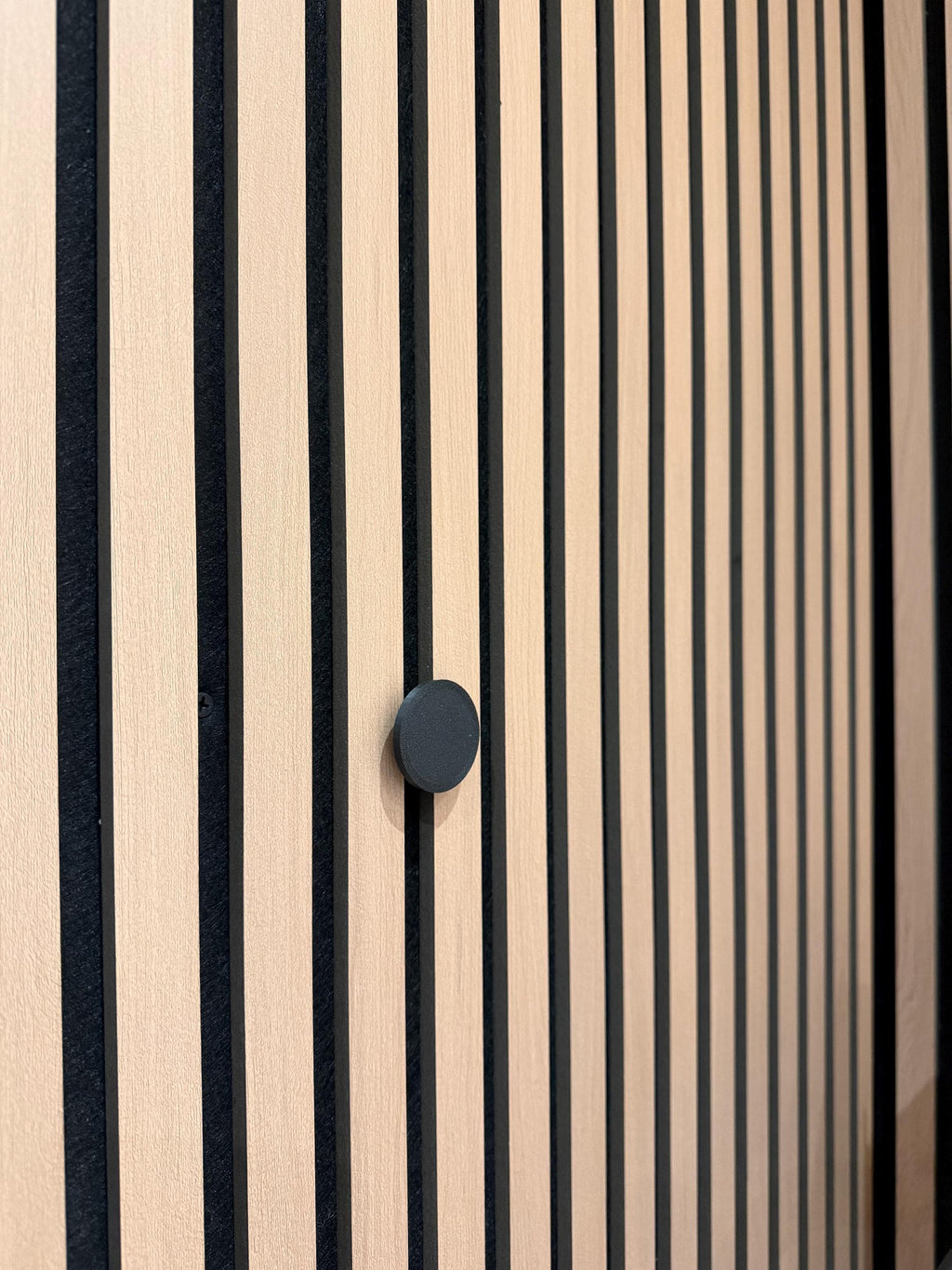 Modern Slat Wall Hook | No-Drill Hidden Mount, Matte Black