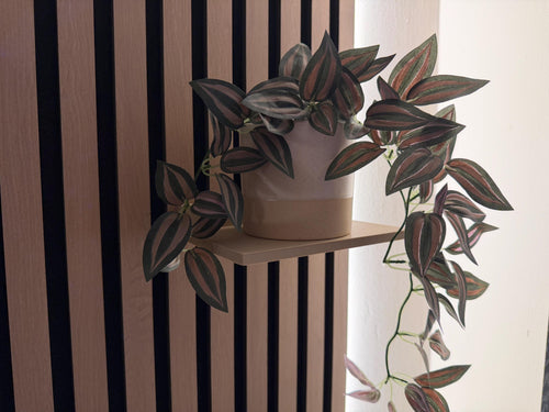 Beige Floating Shelf (Screw Mount)