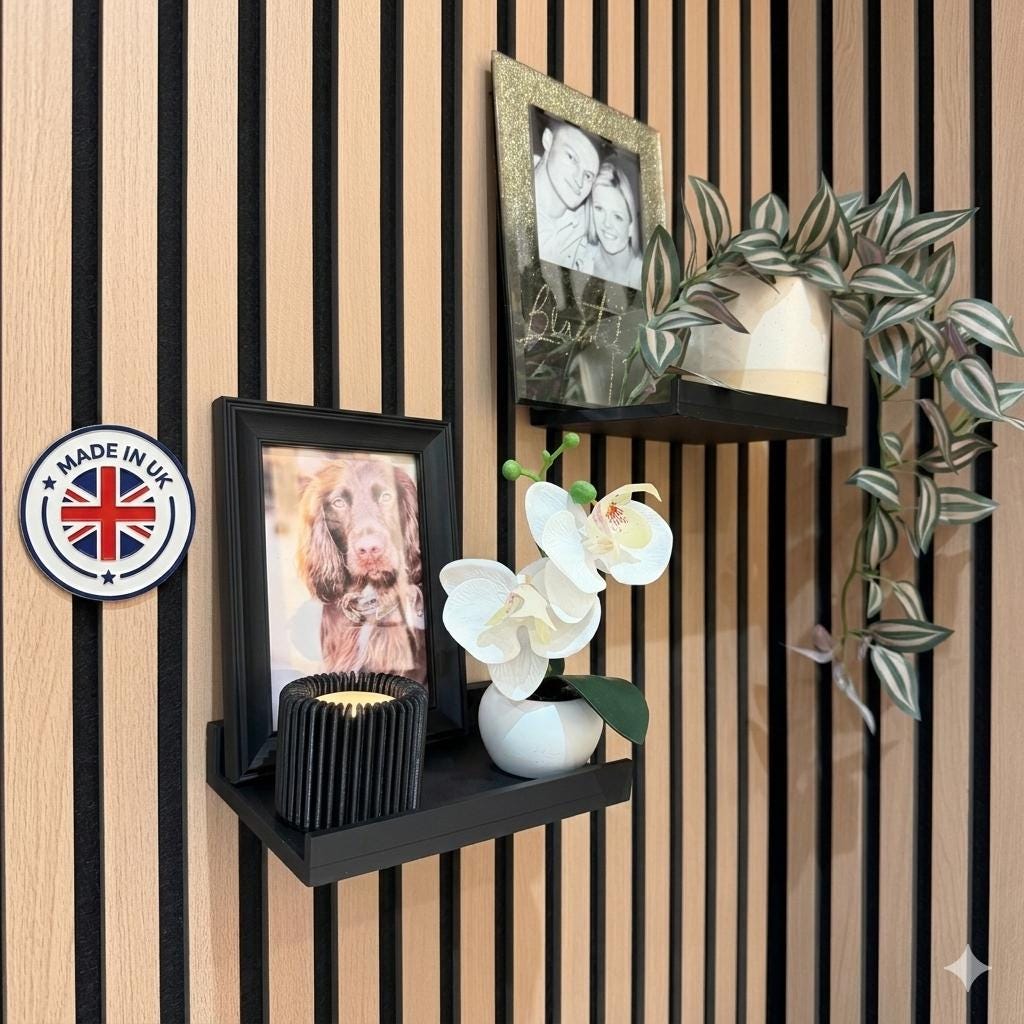 Acoustic panel Shelf Set of 2 – Minimalist Floating Shelf with Lip, Modern Storage